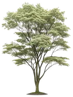 Imagen PNG para descargar